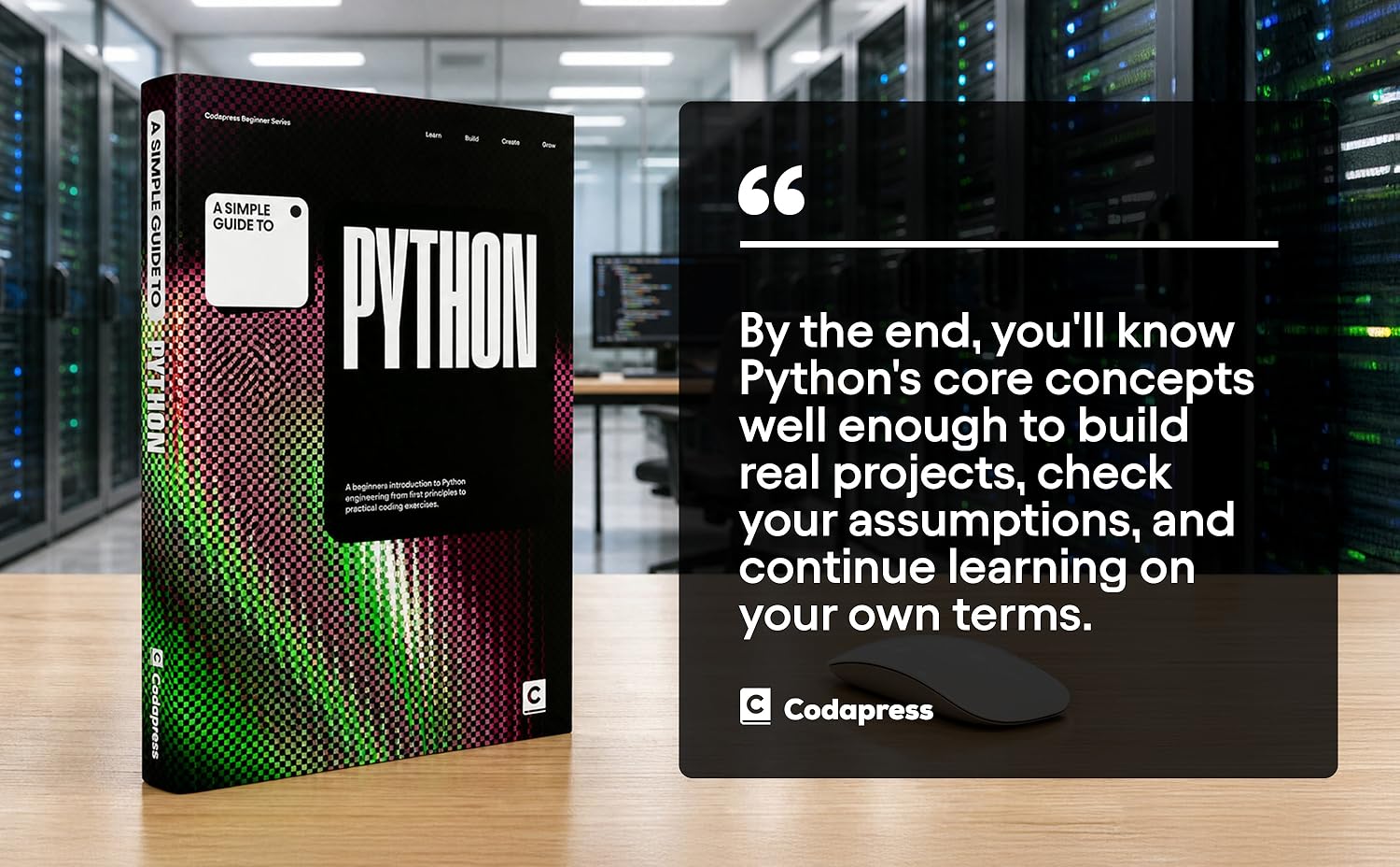 Python 简明指南