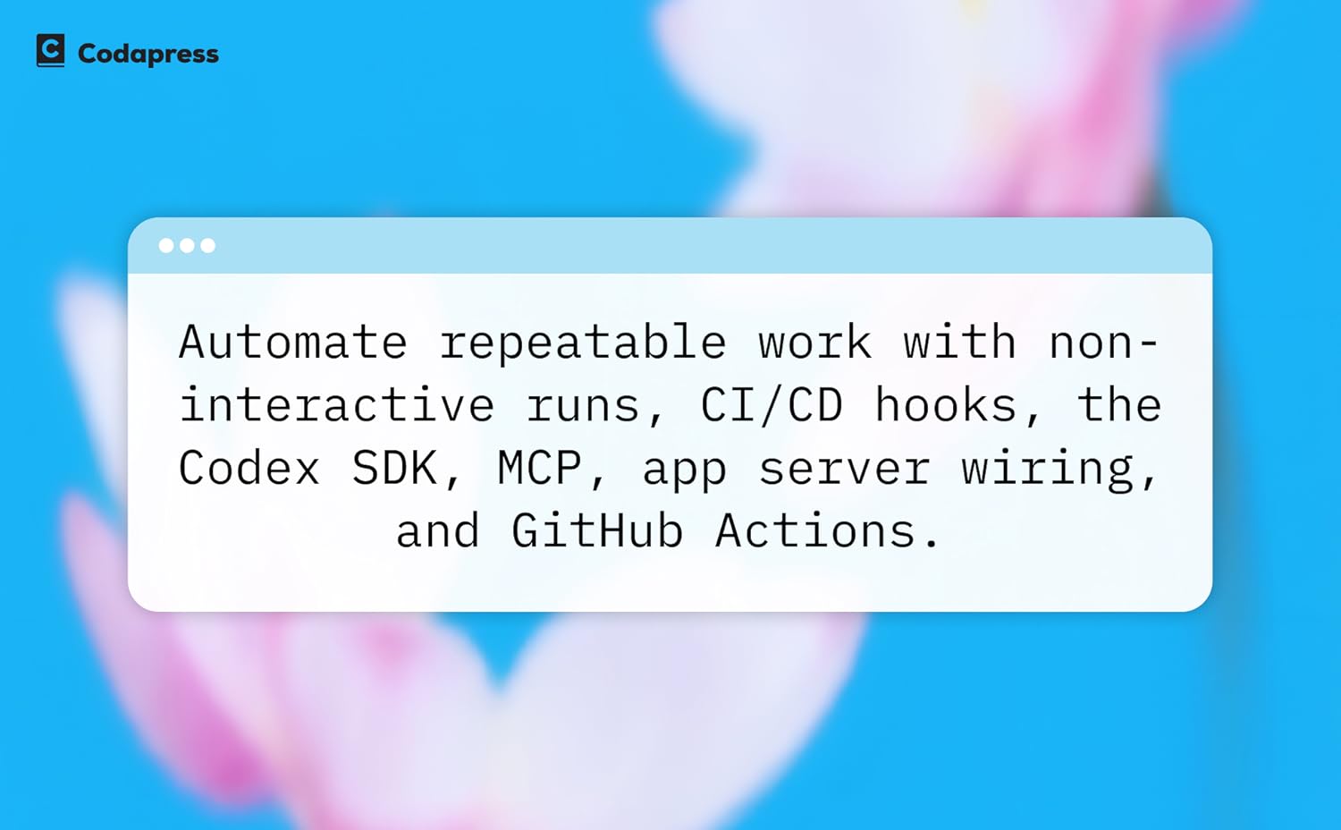 OpenAI Codex Pro（2026 版）